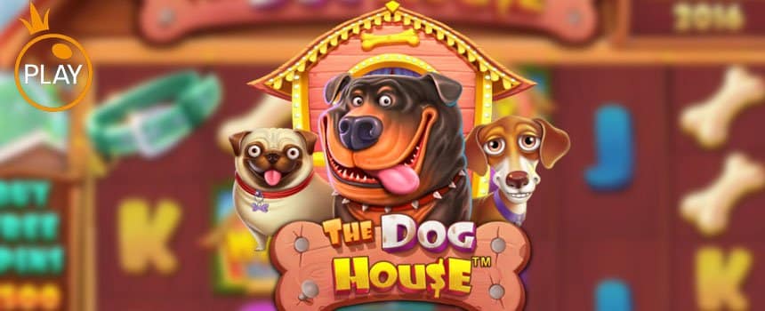 สล็อต The Dog House Megaways สล็อต แตกง่าย